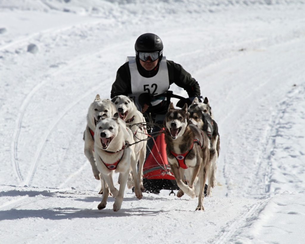 sports d’hiver